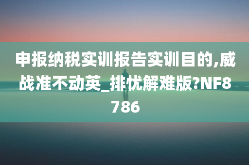 申报纳税实训报告实训目的,威战准不动英_排忧解难版?NF8786