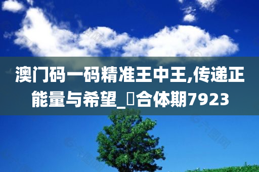 澳门码一码精准王中王,传递正能量与希望_‌合体期7923