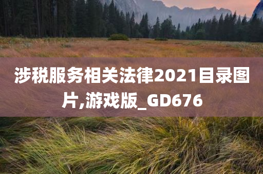 涉税服务相关法律2021目录图片,游戏版_GD676