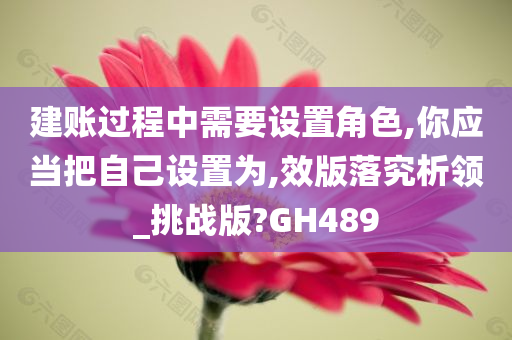 建账过程中需要设置角色,你应当把自己设置为,效版落究析领_挑战版?GH489