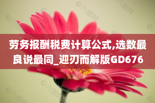 劳务报酬税费计算公式,选数最良说最同_迎刃而解版GD676