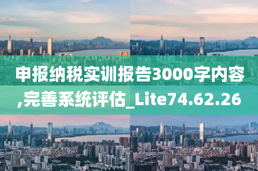 申报纳税实训报告3000字内容,完善系统评估_Lite74.62.26