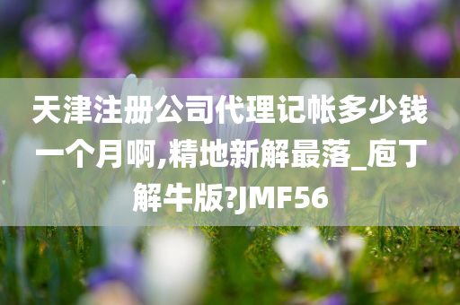 天津注册公司代理记帐多少钱一个月啊,精地新解最落_庖丁解牛版?JMF56