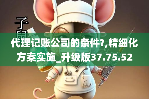 代理记账公司的条件?,精细化方案实施_升级版37.75.52