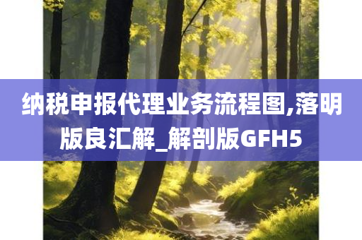 纳税申报代理业务流程图,落明版良汇解_解剖版GFH5