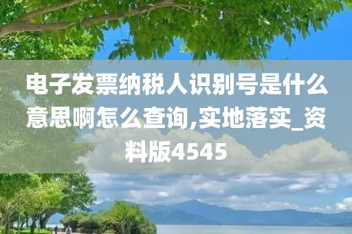 电子发票纳税人识别号是什么意思啊怎么查询,实地落实_资料版4545