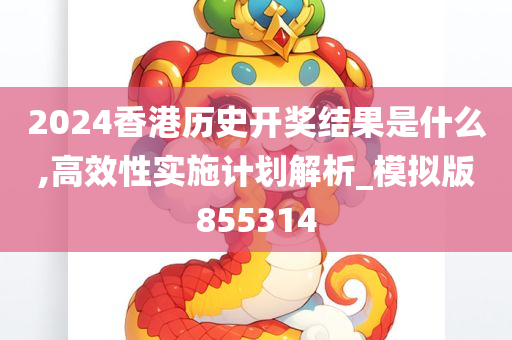 2024香港历史开奖结果是什么,高效性实施计划解析_模拟版855314