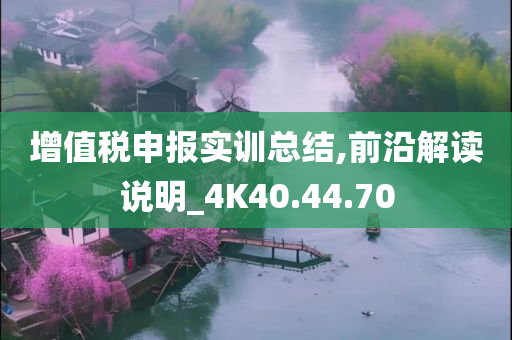 增值税申报实训总结,前沿解读说明_4K40.44.70