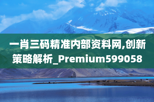 一肖三码精准内部资料网,创新策略解析_Premium599058