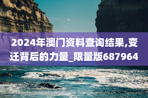 2024年澳门资料查询结果,变迁背后的力量_限量版687964