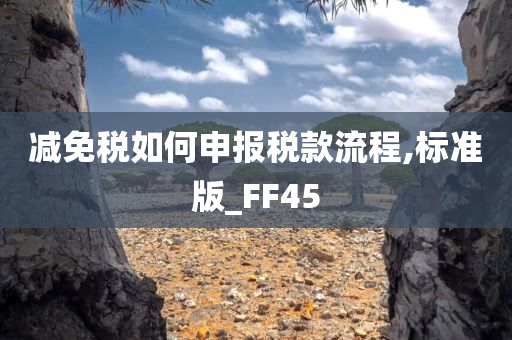 减免税如何申报税款流程,标准版_FF45