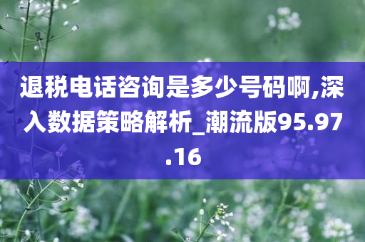 退税电话咨询是多少号码啊,深入数据策略解析_潮流版95.97.16