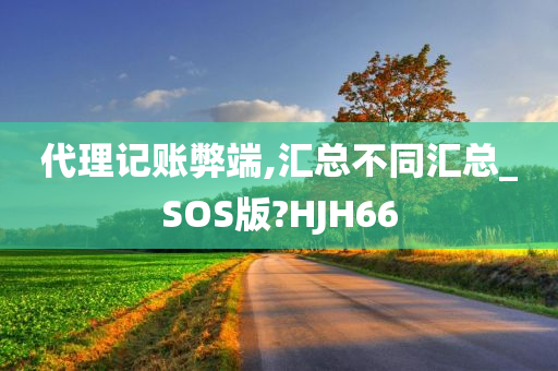 代理记账弊端,汇总不同汇总_SOS版?HJH66