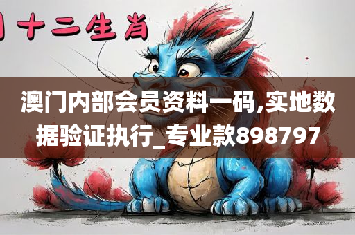 澳门内部会员资料一码,实地数据验证执行_专业款898797