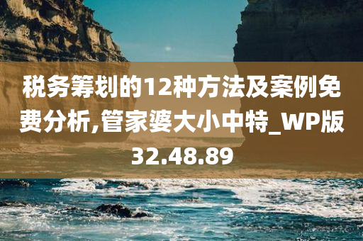 税务筹划的12种方法及案例免费分析,管家婆大小中特_WP版32.48.89