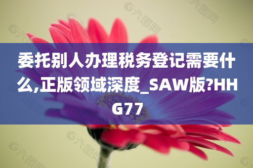 委托别人办理税务登记需要什么,正版领域深度_SAW版?HHG77