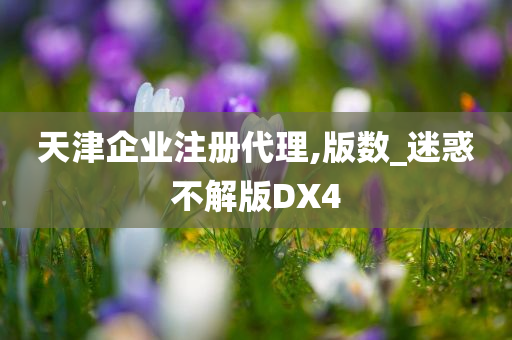 天津企业注册代理,版数_迷惑不解版DX4