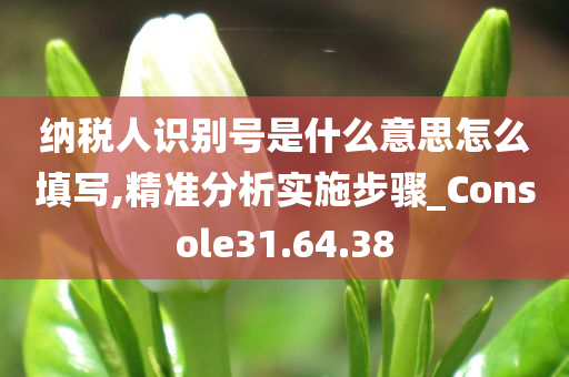 纳税人识别号是什么意思怎么填写,精准分析实施步骤_Console31.64.38