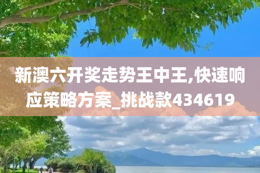 新澳六开奖走势王中王,快速响应策略方案_挑战款434619