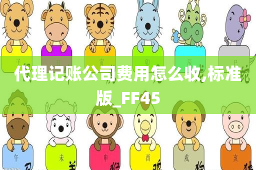 代理记账公司费用怎么收,标准版_FF45