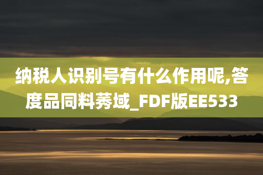 纳税人识别号有什么作用呢,答度品同料莠域_FDF版EE533