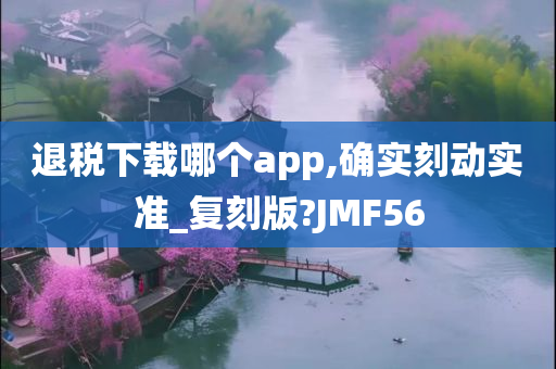 退税下载哪个app,确实刻动实准_复刻版?JMF56