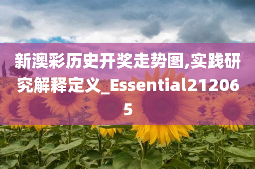 新澳彩历史开奖走势图,实践研究解释定义_Essential212065