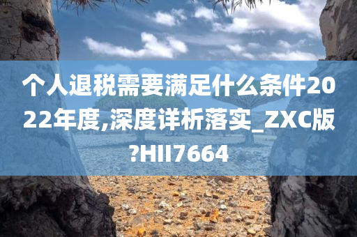 个人退税需要满足什么条件2022年度,深度详析落实_ZXC版?HII7664