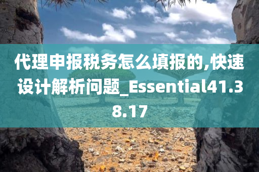 代理申报税务怎么填报的,快速设计解析问题_Essential41.38.17