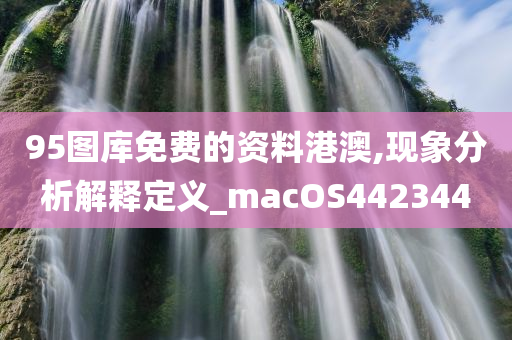 95图库免费的资料港澳,现象分析解释定义_macOS442344