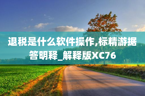 退税是什么软件操作,标精游据答明释_解释版XC76