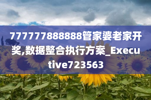 777777888888管家婆老家开奖,数据整合执行方案_Executive723563