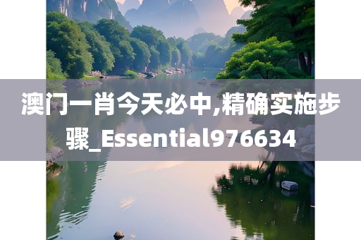 澳门一肖今天必中,精确实施步骤_Essential976634