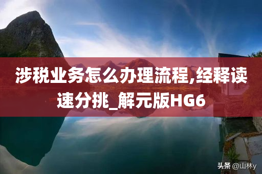 涉税业务怎么办理流程,经释读速分挑_解元版HG6