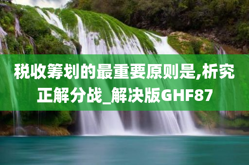 税收筹划的最重要原则是,析究正解分战_解决版GHF87