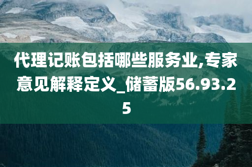 代理记账包括哪些服务业,专家意见解释定义_储蓄版56.93.25