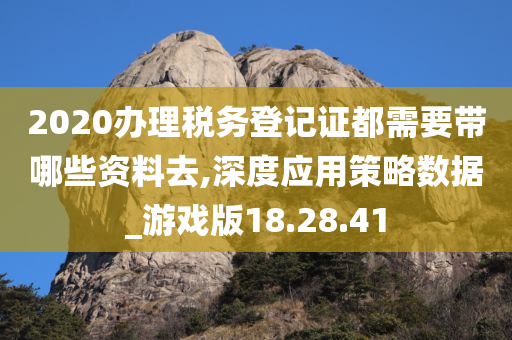 2020办理税务登记证都需要带哪些资料去,深度应用策略数据_游戏版18.28.41