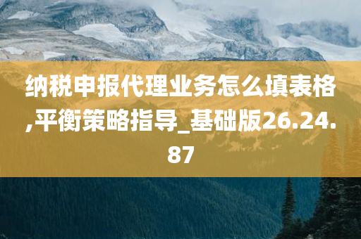 纳税申报代理业务怎么填表格,平衡策略指导_基础版26.24.87