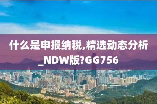 什么是申报纳税,精选动态分析_NDW版?GG756