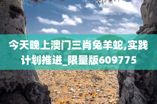 今天晚上澳门三肖兔羊蛇,实践计划推进_限量版609775