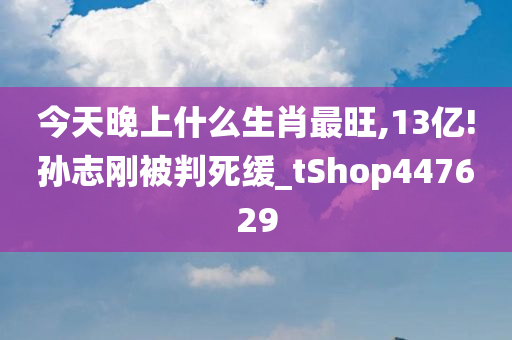 今天晚上什么生肖最旺,13亿!孙志刚被判死缓_tShop447629