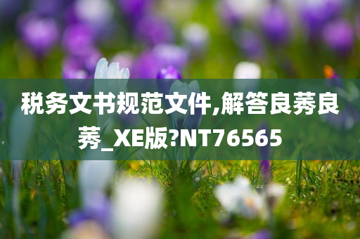 税务文书规范文件,解答良莠良莠_XE版?NT76565