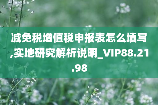 减免税增值税申报表怎么填写,实地研究解析说明_VIP88.21.98