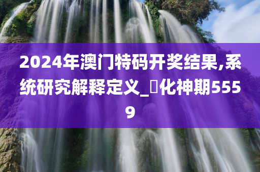 2024年澳门特码开奖结果,系统研究解释定义_‌化神期5559