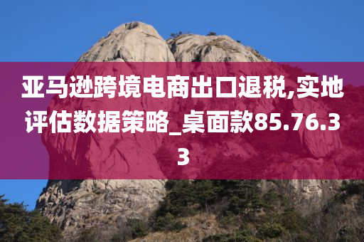 亚马逊跨境电商出口退税,实地评估数据策略_桌面款85.76.33