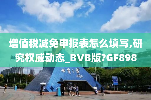 增值税减免申报表怎么填写,研究权威动态_BVB版?GF898