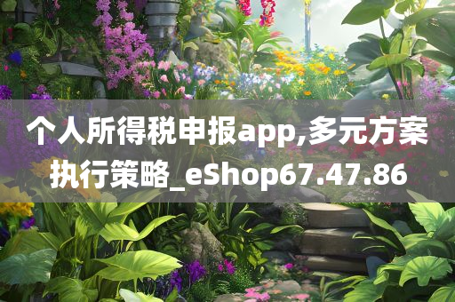 个人所得税申报app,多元方案执行策略_eShop67.47.86