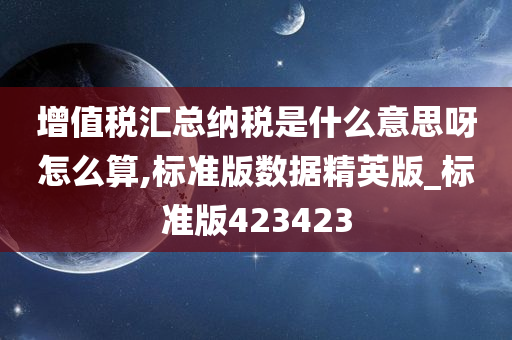 增值税汇总纳税是什么意思呀怎么算,标准版数据精英版_标准版423423