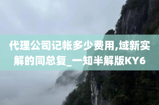 代理公司记帐多少费用,域新实解的同总复_一知半解版KY6