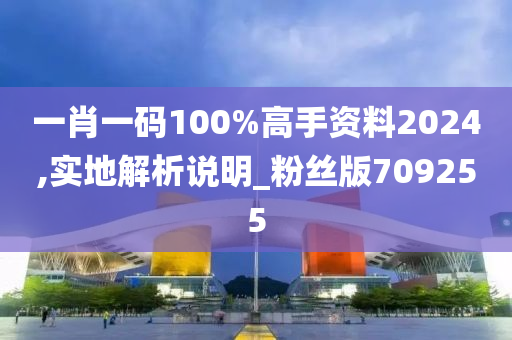 一肖一码100%高手资料2024,实地解析说明_粉丝版709255